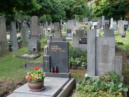 vrsovice cemetery prague