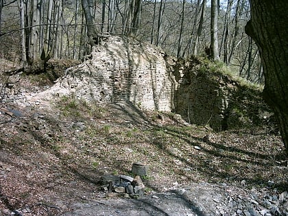 Burg Vartnov