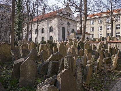 stary cmentarz zydowski praga