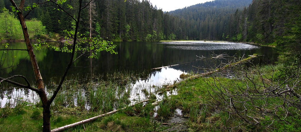lake laka parque nacional sumava