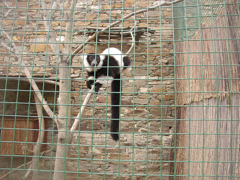 Zájezd Zoo