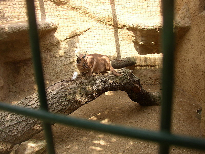 Zájezd Zoo