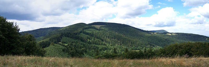 Kozubová