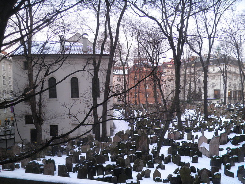 Synagoga Klausowa