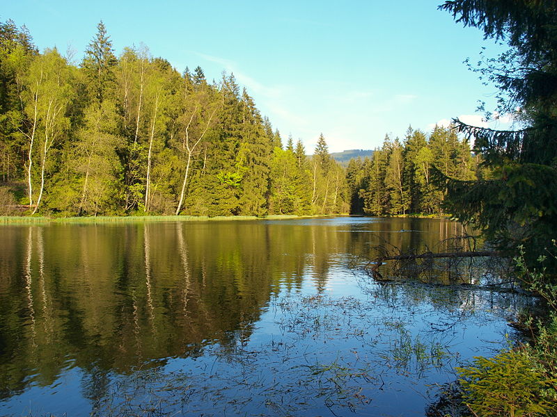 Lago Černé