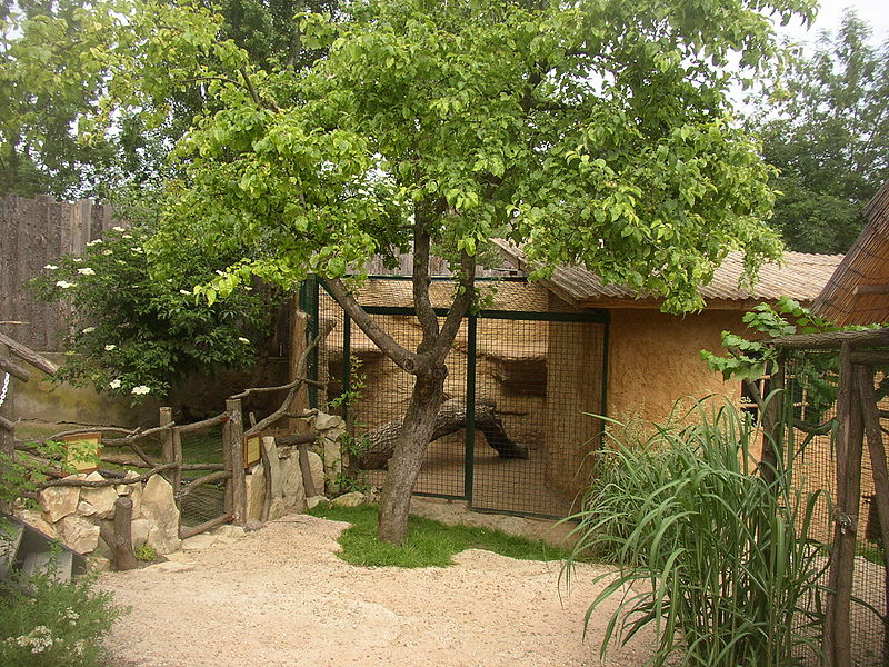 Zájezd Zoo
