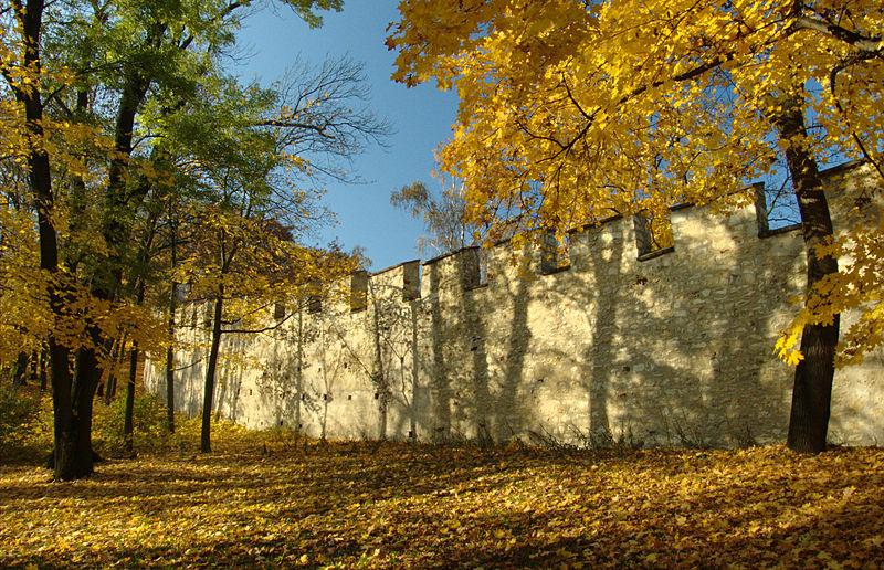 Hunger Wall