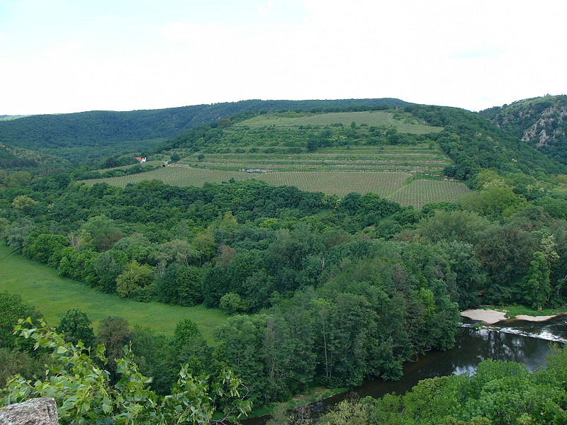 Park Narodowy „Podyje”