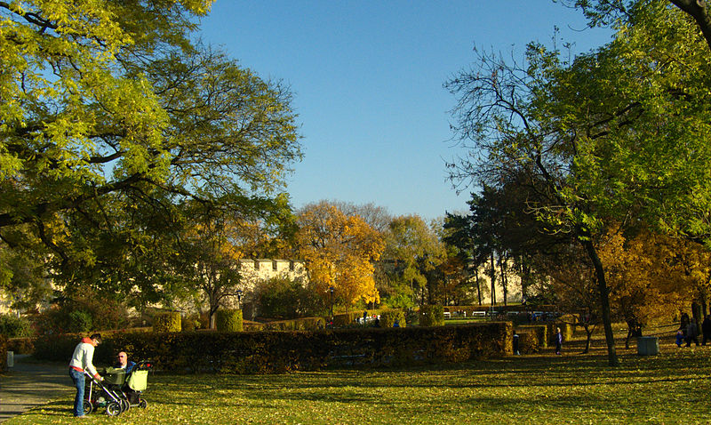 Seminary Garden