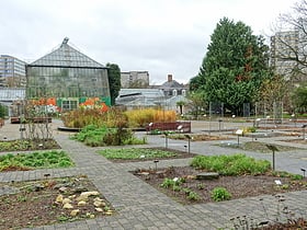 jardin botanique de heidelberg