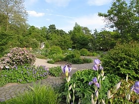 jardin botanico de kassel