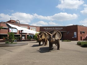 LWL-Museum für Naturkunde