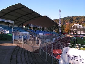 moselstadion trier