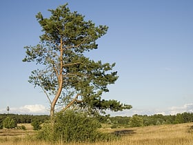 Naturschutzgebiet Hainberg