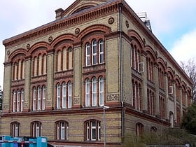 Zoologisches Museum Kiel