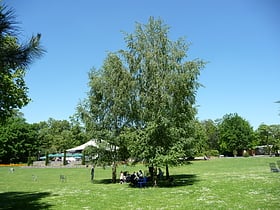 Herzogenriedpark