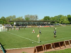 stadion am brentanobad frankfurt