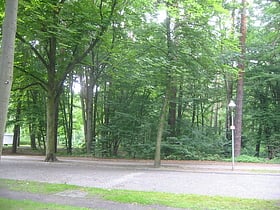 Ludwig-Lesser-Park
