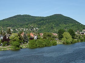 heiligenberg heidelberg