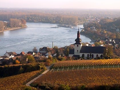 Vignoble de Hesse-Rhénane