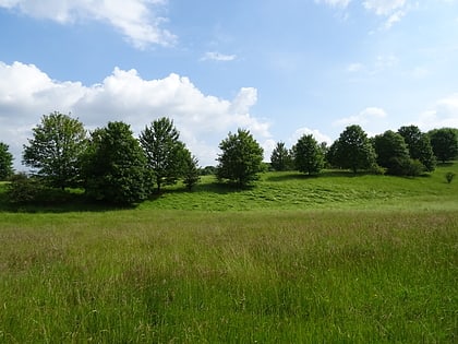 nsg lange dreisch und osterberg hildesheim