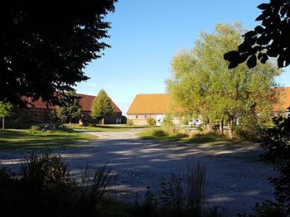 schafstall im gut temmen biospharenreservat schorfheide chorin