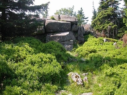 heinrichshohe parc national du harz