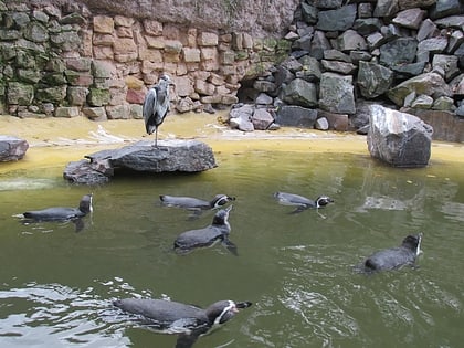 Zoo Landau in der Pfalz