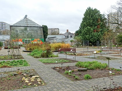 Jardin botanique de Heidelberg