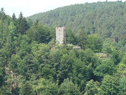 Burg Erfenstein