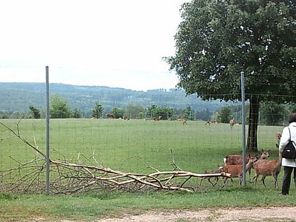 wild und freizeitpark allensbach