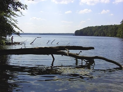Lago Stechlin