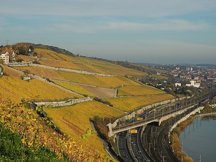 wurzburger stein wurzburgo