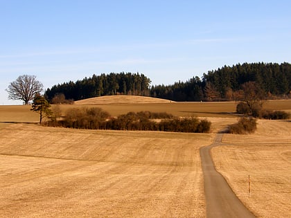 magdalenenberg villingen schwenningen