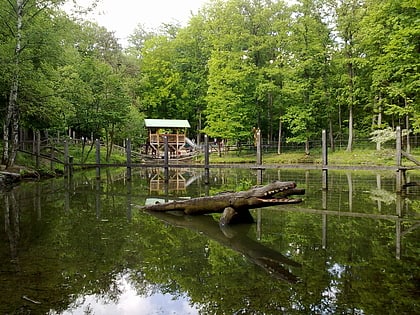 wildpark schweinfurt