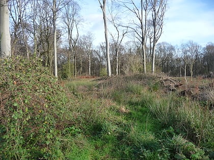 Naturschutzgebiet Herrentheyer Wald