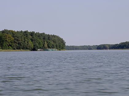 leppinsee