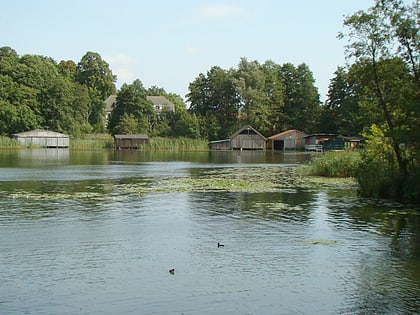 mirower see