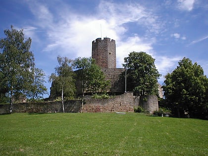 burg steinsberg sinsheim