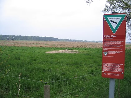 Großes Moor bei Becklingen