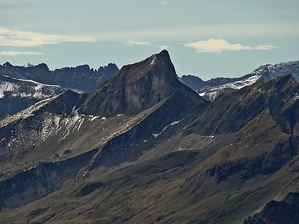 schneck mountain