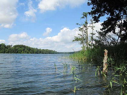 Lago Neumühler