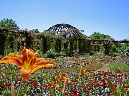 park rosenhohe darmstadt