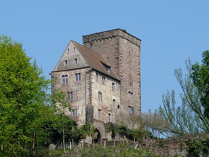 vorderburg neckarsteinach