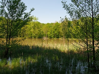 Lago Anna