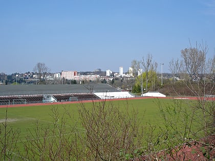 riederwaldstadion frankfurt nad menem