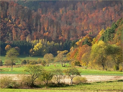 foret de reinhard