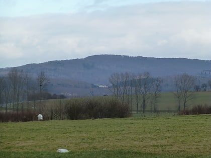 bleicherode hills