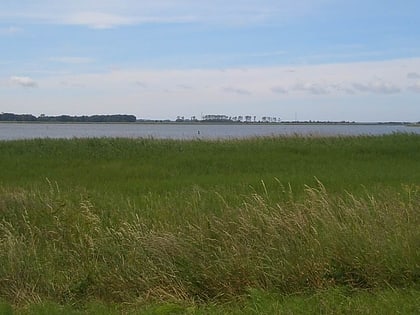 Rezerwat Przyrody Neuendorfer Wiek and Beuchel Island
