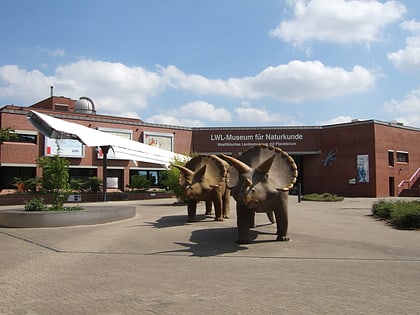 lwl museum fur naturkunde munster